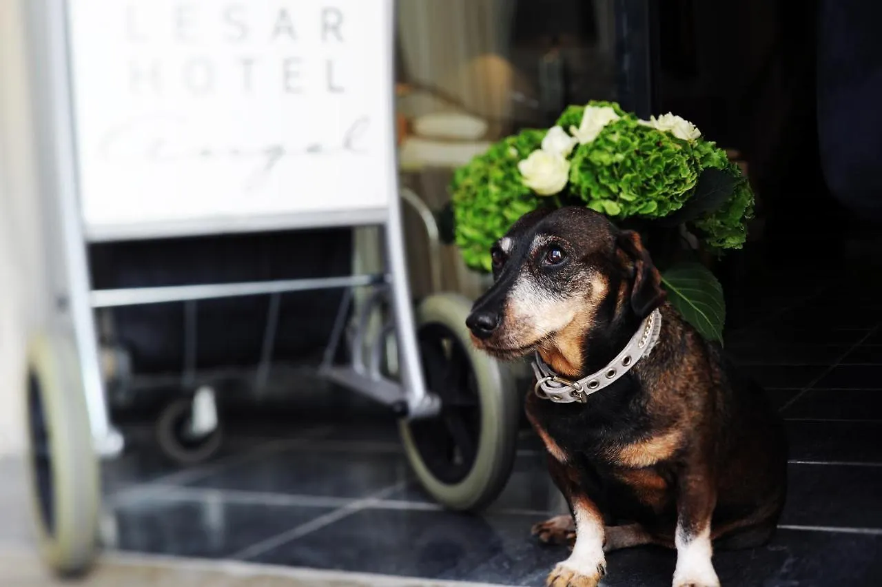 Lesar Hotel Angel - Member Of Hip Hotels Ljubljana