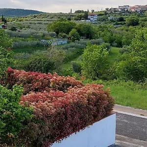 Appartement Aliana 