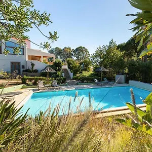 Bed & Breakfast Casa Do Palmeiral - Hoom ***